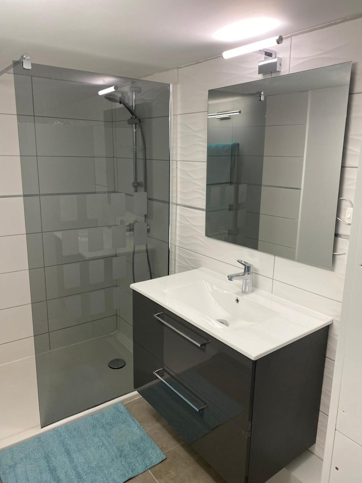 Superbe Appartement climatisé avec Patio Montpellier Extérieur photo